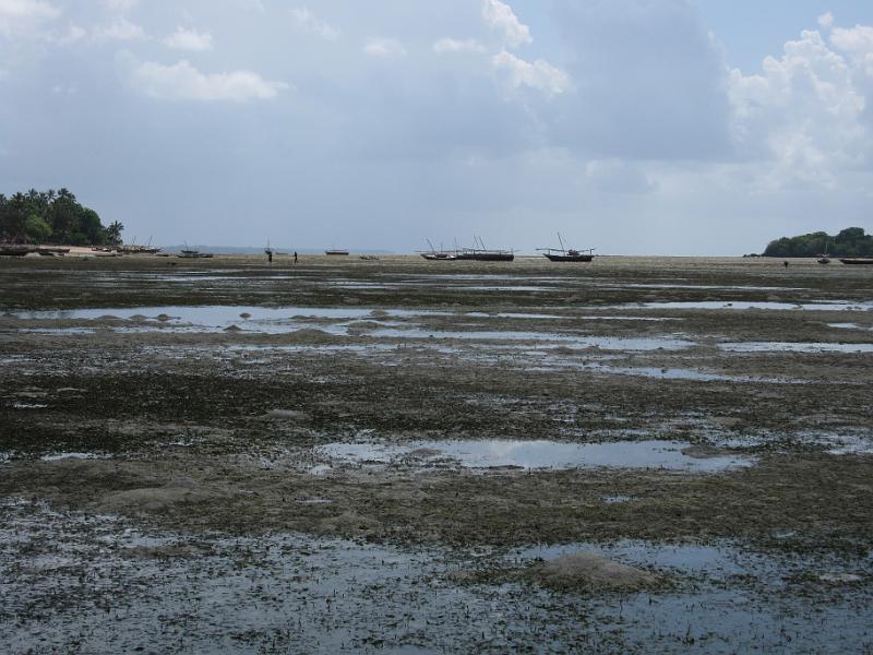 Low tide.JPG